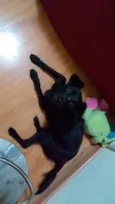 Romeu