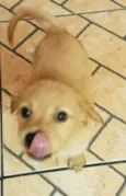 CARAMELO 
