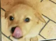 CARAMELO