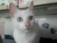 Nina