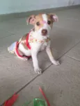Mel 