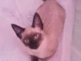 Fred
