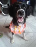 Cloe