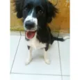 Cloe