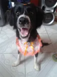 Cloe