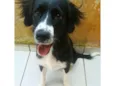 Cloe