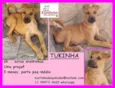 Tukinha Bebezinha