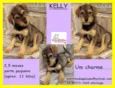 Kelly Bebezinha