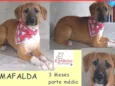 Mafalda Filhote