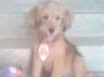 Tob