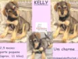 Kelly Bebezinha