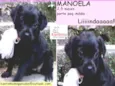 Manoela Bebezinha