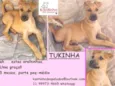 Tukinha Bebezinha