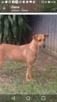 Lucy