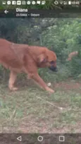 Pequena