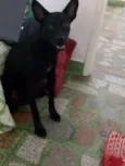 Ômega