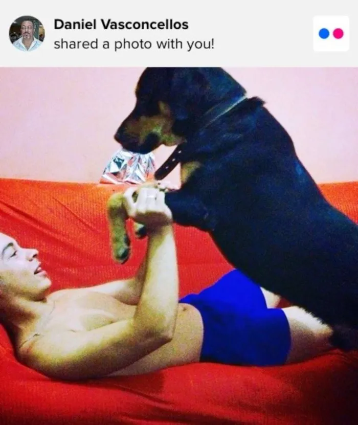 Cachorro ra a RND idade 5 anos nome Zeus