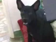 Ômega