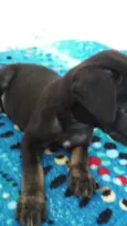 A definir