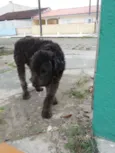 Não sei