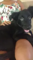 Nayla