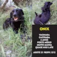 Onix