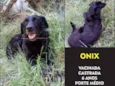 Onix