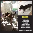 Frida