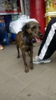 Frida