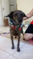 Frida