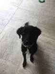 Manolo