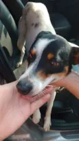 SNOOP
