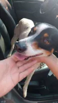 SNOOP