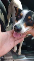 SNOOP