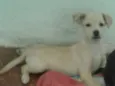 Lua