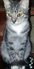 George