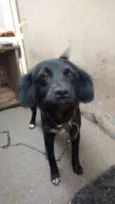 Belinha
