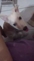 Marley