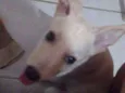 Marley