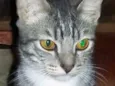 George
