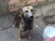 Meg