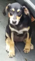 Juli