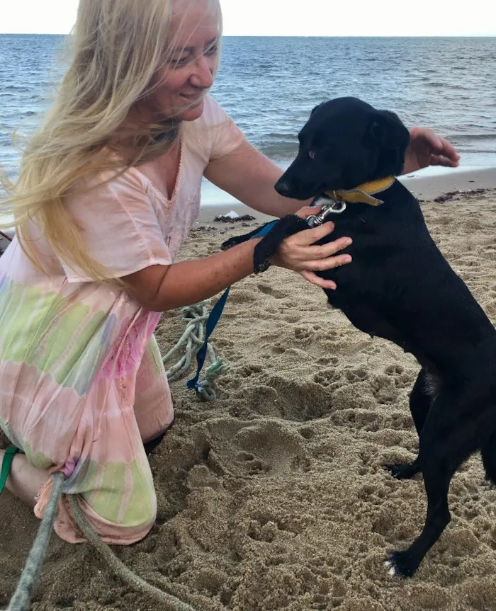 Cachorro ra a SRD  idade 2 anos nome Bela negra