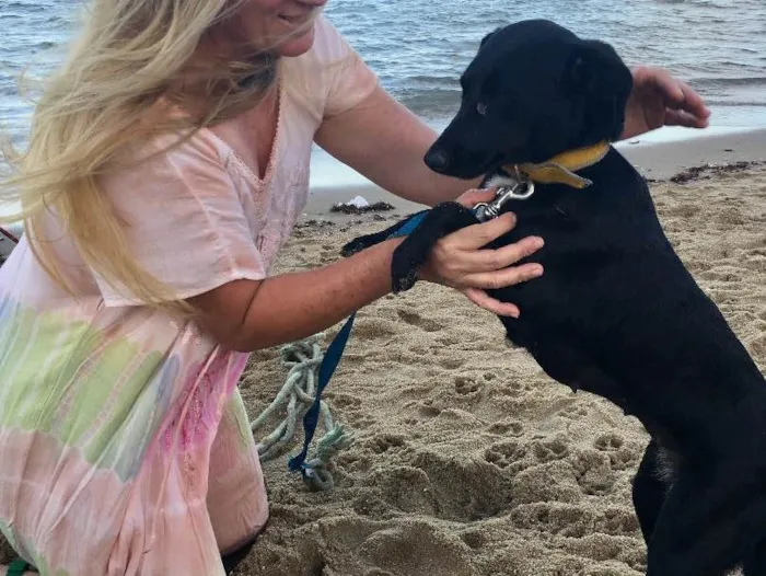 Cachorro ra a SRD  idade 2 anos nome Bela negra