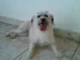 Missi