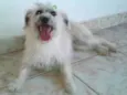 Missi