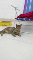 Nina
