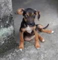 Dudinha