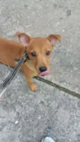 Mel