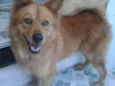 Tulio 